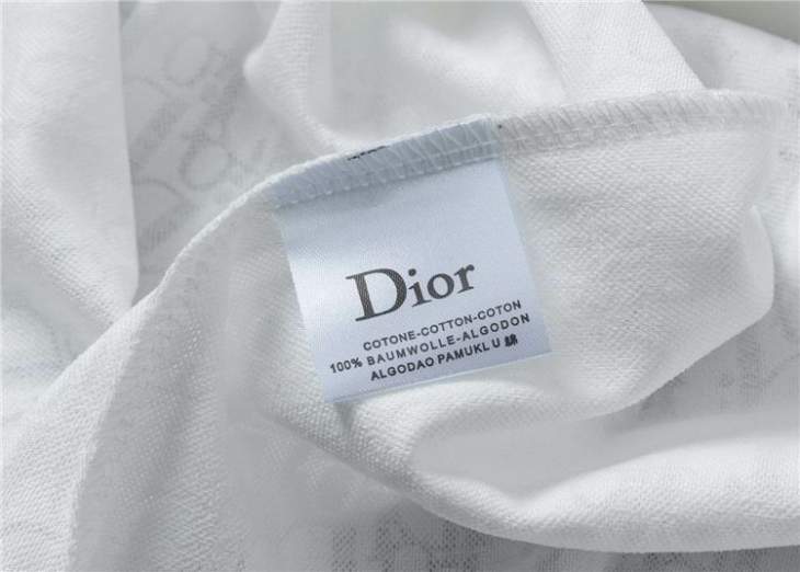 Dior T Shirts Short _SKUDiorM-3XL3cx9524516329
